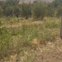 زمین مرغوب درجه بغل روستاوکتارجاده اصلی|فروش زمین و ملک کلنگی|دینور, |دیوار