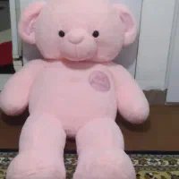 خرس بزرگ ولنتاین