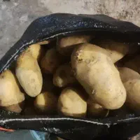 سیب زمینی کله بار مخصوص رستوران