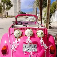 تشریفات مجالس vip یاسمن بانو