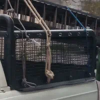 فروش باربند
