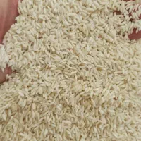 برنج علی کاظمی