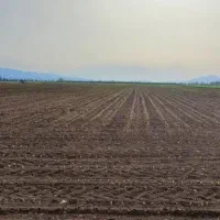 فروش-زمین-کشاورزی