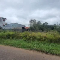 زمین مسکونی سند تک برگ