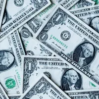 استخدام .دعوت به همکاری‌