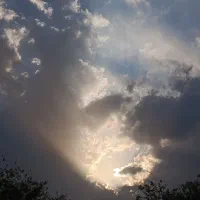 پاساژ گردی
