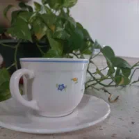یک دست  فنجان نعلبکی ویکتوریا|ظروف سرو و پذیرایی|قم, چهل درخت‎|دیوار