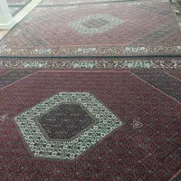 فرش ۶ متری افشار