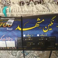 فرش ۱۲ و ۶ متری نگین مشهد ممتاز|فرش|شیراز, ارم|دیوار
