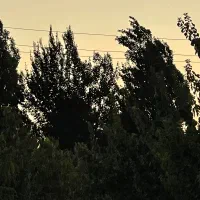 باغ-شهری-موقعیت-بینظیر