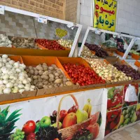 صفر تا صد لوازم و وسایل میوه فروشی|فروشگاه و مغازه|شیراز, قصرالدشت|دیوار