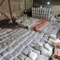 انواع کشمش بیدانه ملایر شیراز .تاکستان