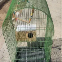 قفس در حد نو