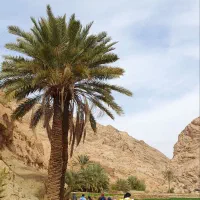 تور طبیعت گردی طبس