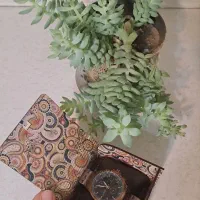 ساعت مچی مردانه برند رومانسون