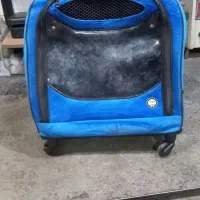 باکس سگ وگربه