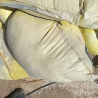 گوگرد پودری