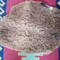 پوست بره|فرش|گرگان, |دیوار