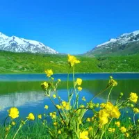 عسل طبیعی صد درصد تضمینی|خوردنی و آشامیدنی|شیراز, میدان قائم|دیوار