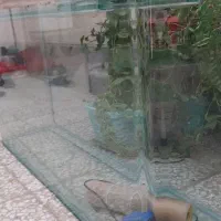 اکواریم بزرگ