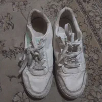 انواع کفش از سایز ۳۷ تا ۴۰|کیف، کفش، کمربند|رشت, دباغیان|دیوار