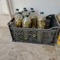 خیار شود سوپر ویژه درجه یک بهترین خیار شورخونگی|خوردنی و آشامیدنی|مشهد, نظام دوست|دیوار