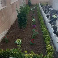 خدمات باغبانی هرسکاری بیلزنی  کودهی سمپاشی ابیاری