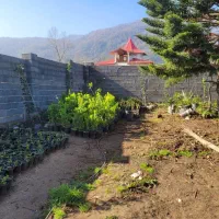 زمینی به مساحت 350 متر اوشیان