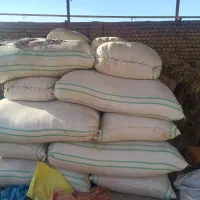 یک نیسان کاه دیم گندم