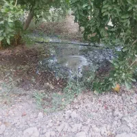 درود.فروش ۱۳۵۴مترباغ اناری اب تلمبه فول خیرابادفسا|فروش خانه و ویلا|فسا, |دیوار