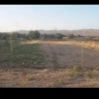 فروش-زمین-خیابان-شهیدان-دلارامی