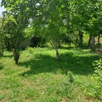 7 هزار متر مناسب ساخت شهرک ویلایی|فروش زمین و ملک کلنگی|لاهیجان, آهندان|دیوار