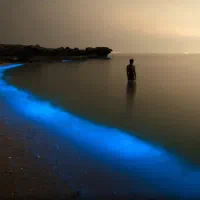 تور یکروزه گشت جزیره قشم|تور و چارتر|قشم, |دیوار