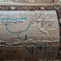 گلیم فرش|گلیم، جاجیم، گبه|سنندج, |دیوار