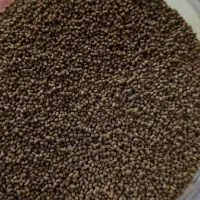 غذای ماهی آکواریوم