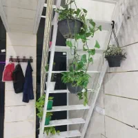 رهن و اجاره مغازه با بالکن