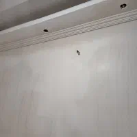 گچکاری|خدمات پیشه و مهارت|چابهار, |دیوار