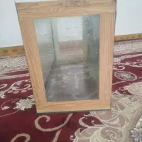آکواریوم|ماهی|کنگاور, |دیوار