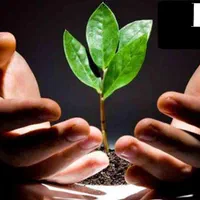 ترک سیگار و اعتیاد بدون درد ،خماری،بستری و وابستگی