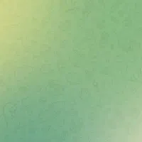 کارت سوخت گم کردم