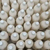 کشک گوسفندی