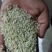 برنج ضیغمی درجه یک. 3کیلو 700 نیم دانه120|خوردنی و آشامیدنی|ایلام, |دیوار