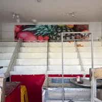 واگذاری لوازم میوه فروشی