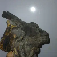 یک عدد چوب آبنوس تیره