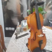 ویولن تی اف ۱۴۲ نو نو