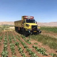 خودرو سنگین|خودرو سنگین|پیرانشهر, |دیوار