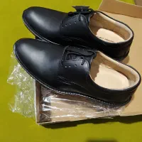 کفش مردانه|کیف، کفش، کمربند|بندر انزلی, سامانسر|دیوار