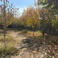 ویلاباغ500زمین300بناسندتکبرگ-آرامشی-محض-در-مهراباد