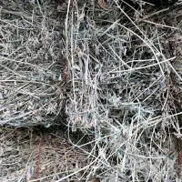 پرس یونجه خالص