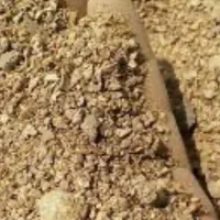 سویا برزیلی